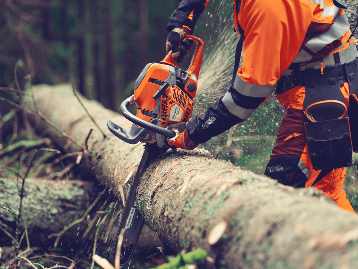 Ilustrační obrázek 2