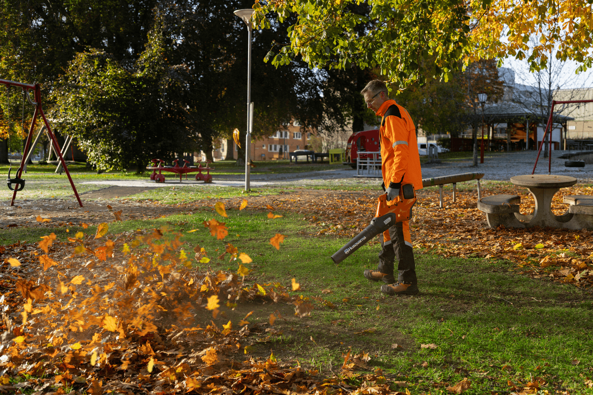 Ilustrační obrázek 1