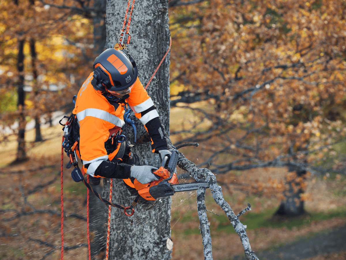 Ilustrační obrázek 2