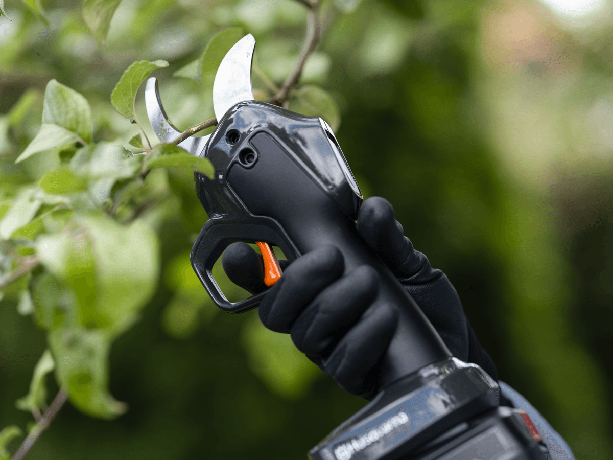 Ilustrační obrázek 2