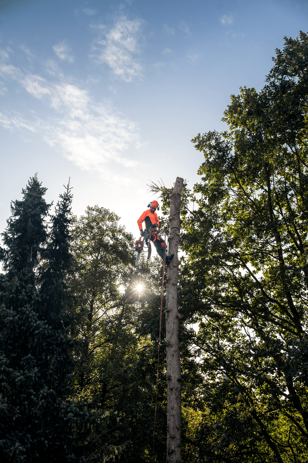 Spolehlivý pomocník pro arboristiku