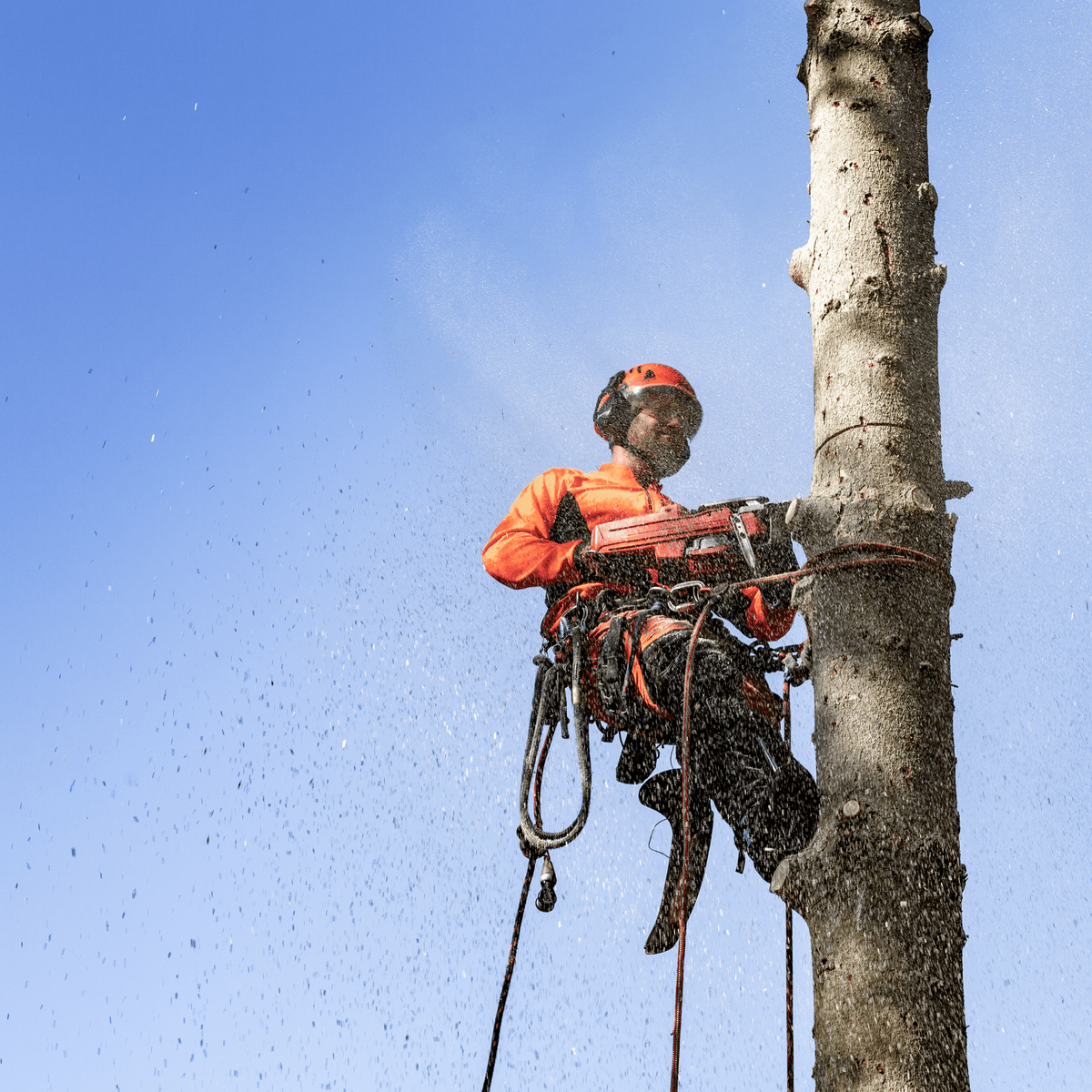 Ilustrační obrázek 2