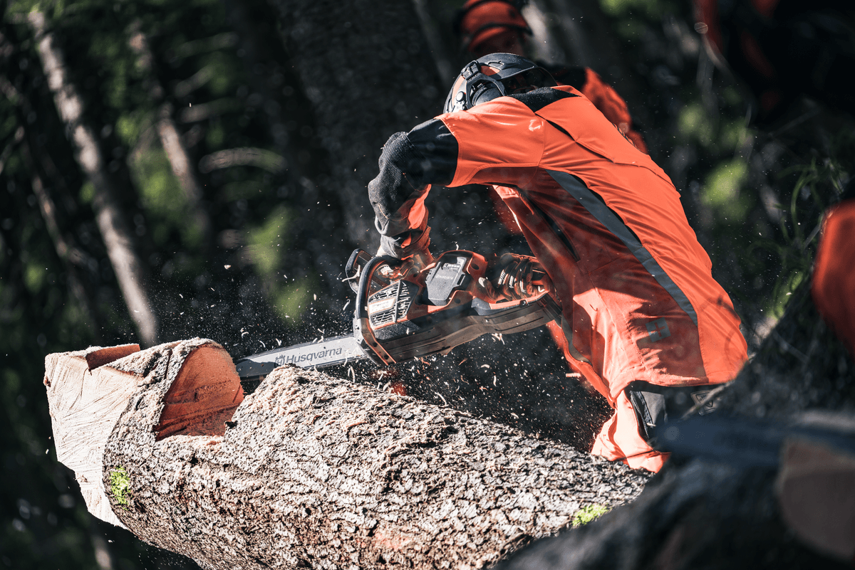 Ilustrační obrázek 2