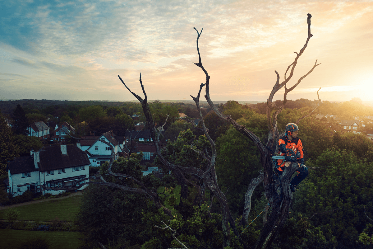 Husqvarna T540i XP®: Špičkový výkon pro profesionální arboristiku