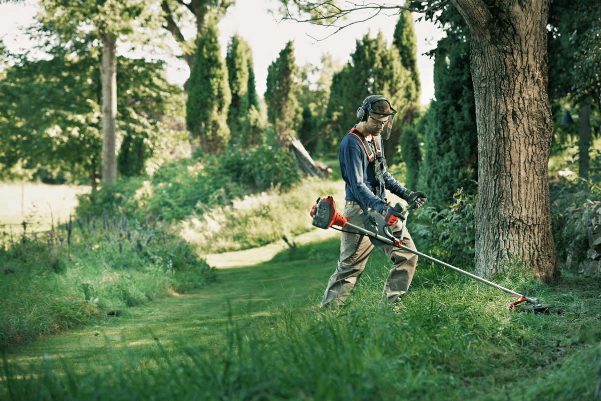 Ilustrační obrázek 1