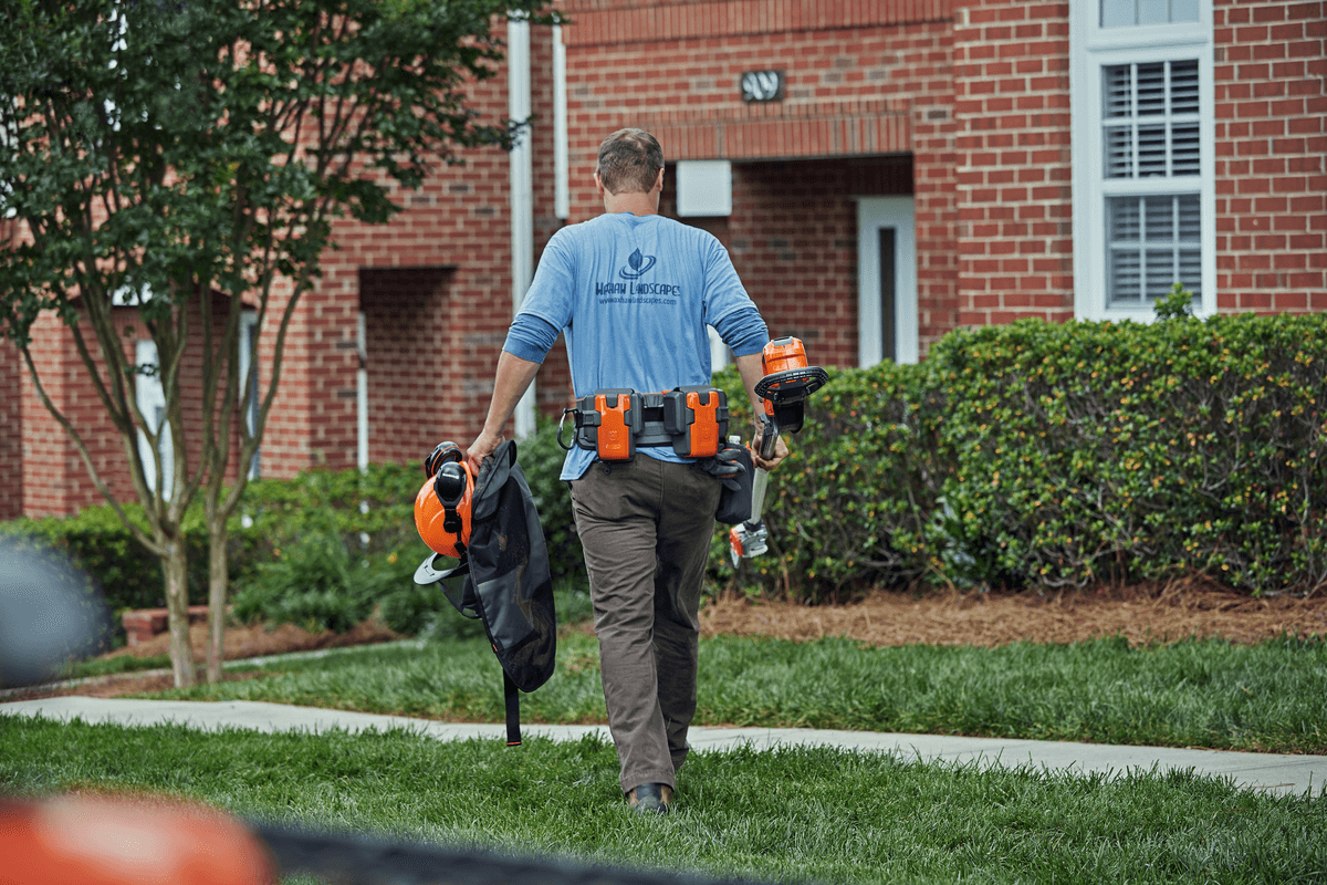 Ilustrační obrázek 2