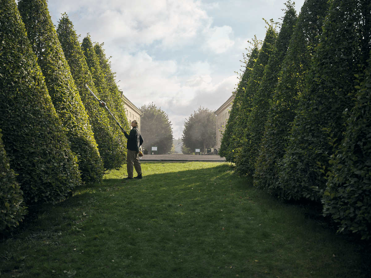 Ilustrační obrázek 1