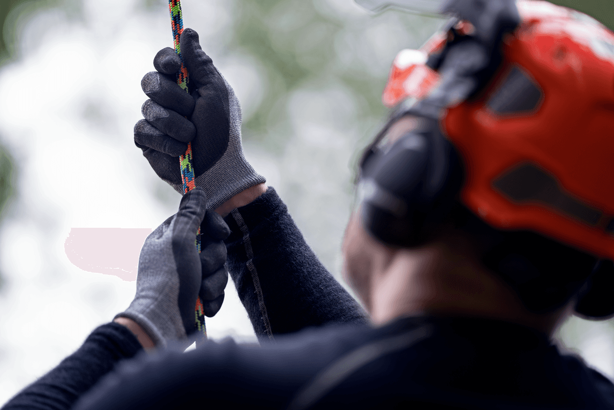 Ilustrační obrázek 2