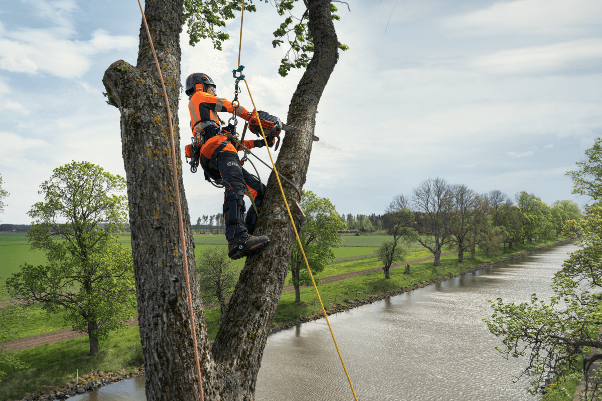 Husqvarna T540 XP® Mark III: Profesionální pila pro arboristiku