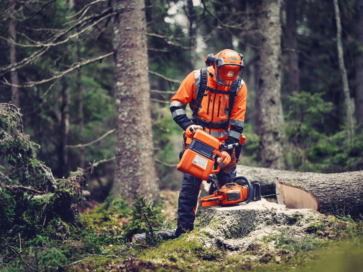 Ilustrační obrázek 1