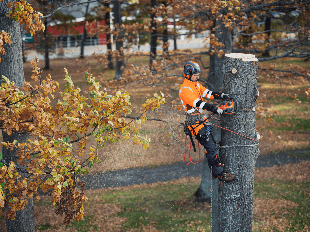 Husqvarna 550i XP® G: Profesionální síla v kompaktním balení