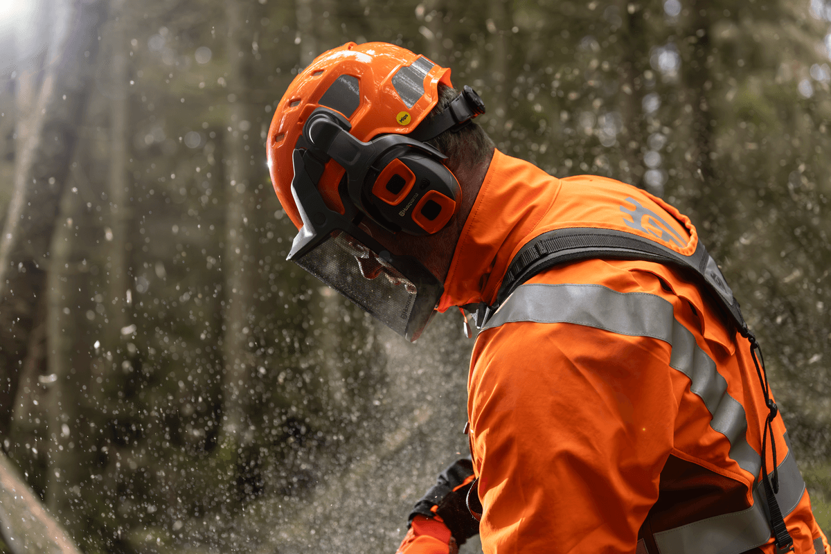 Ilustrační obrázek 1