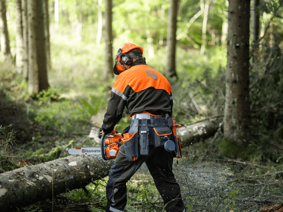 Ilustrační obrázek 1