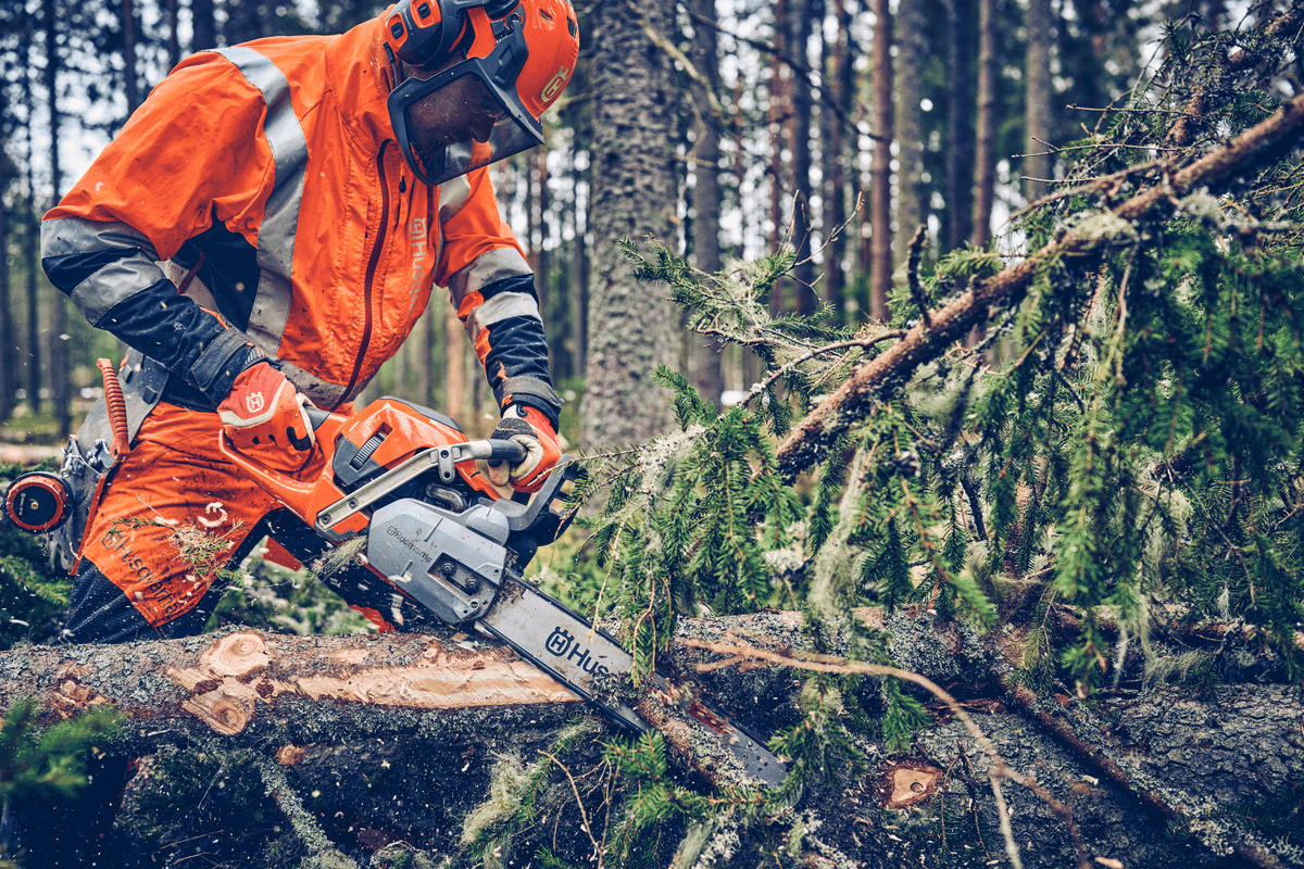 Profesionální síla pro lesní práce