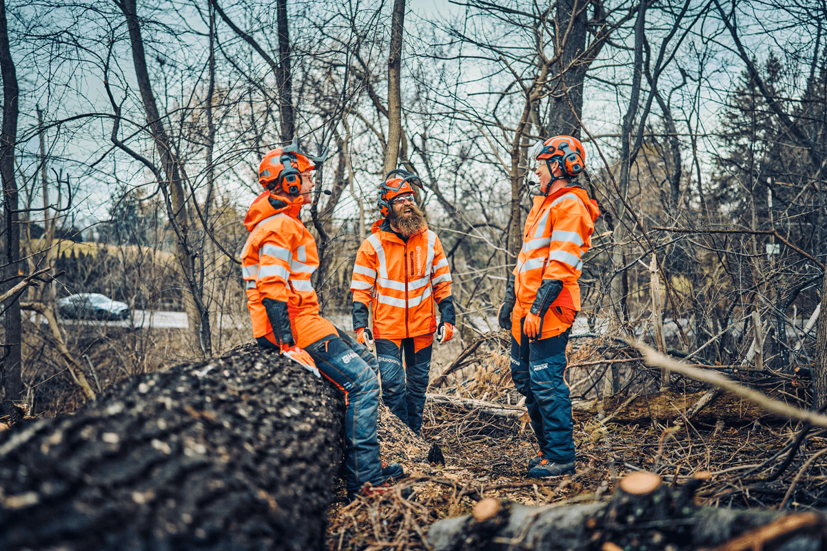 Ilustrační obrázek 2