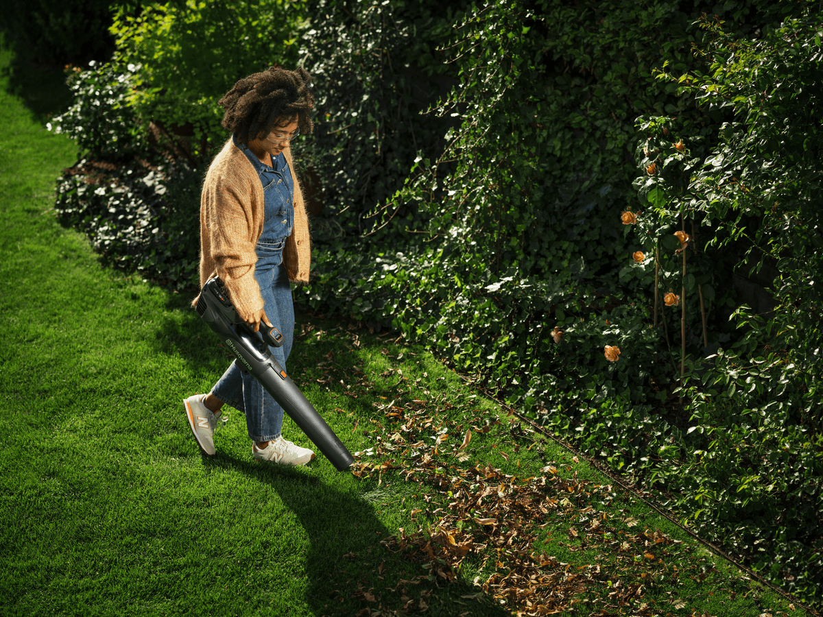 Ilustrační obrázek 2