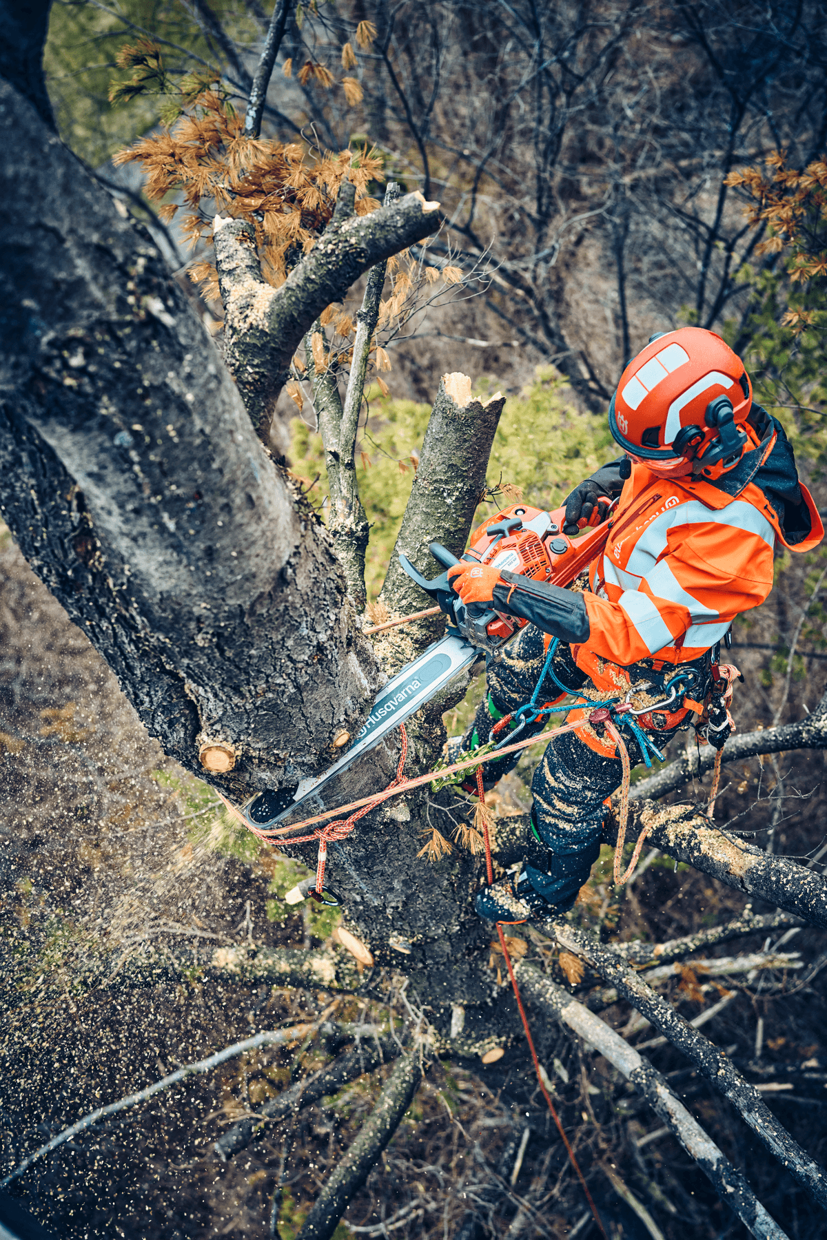 Ilustrační obrázek 1