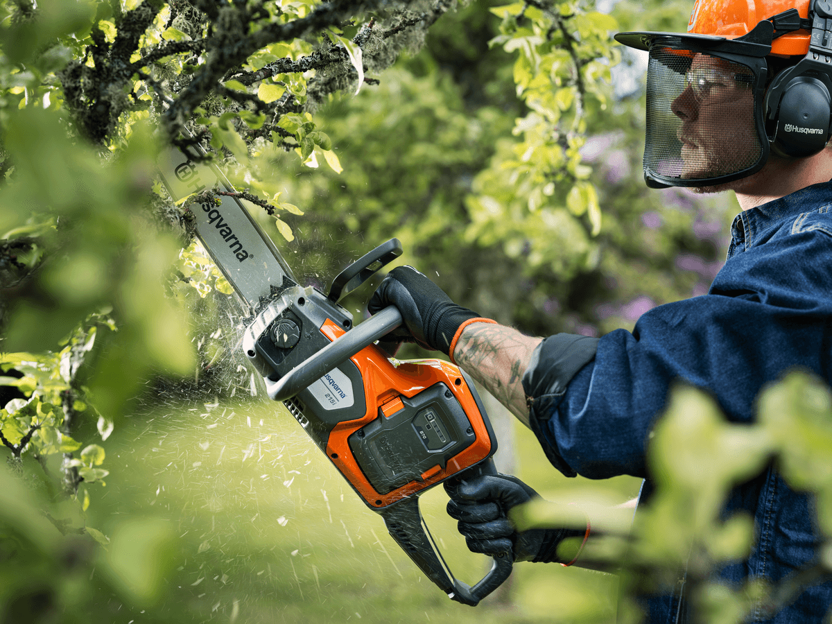 Ilustrační obrázek 1