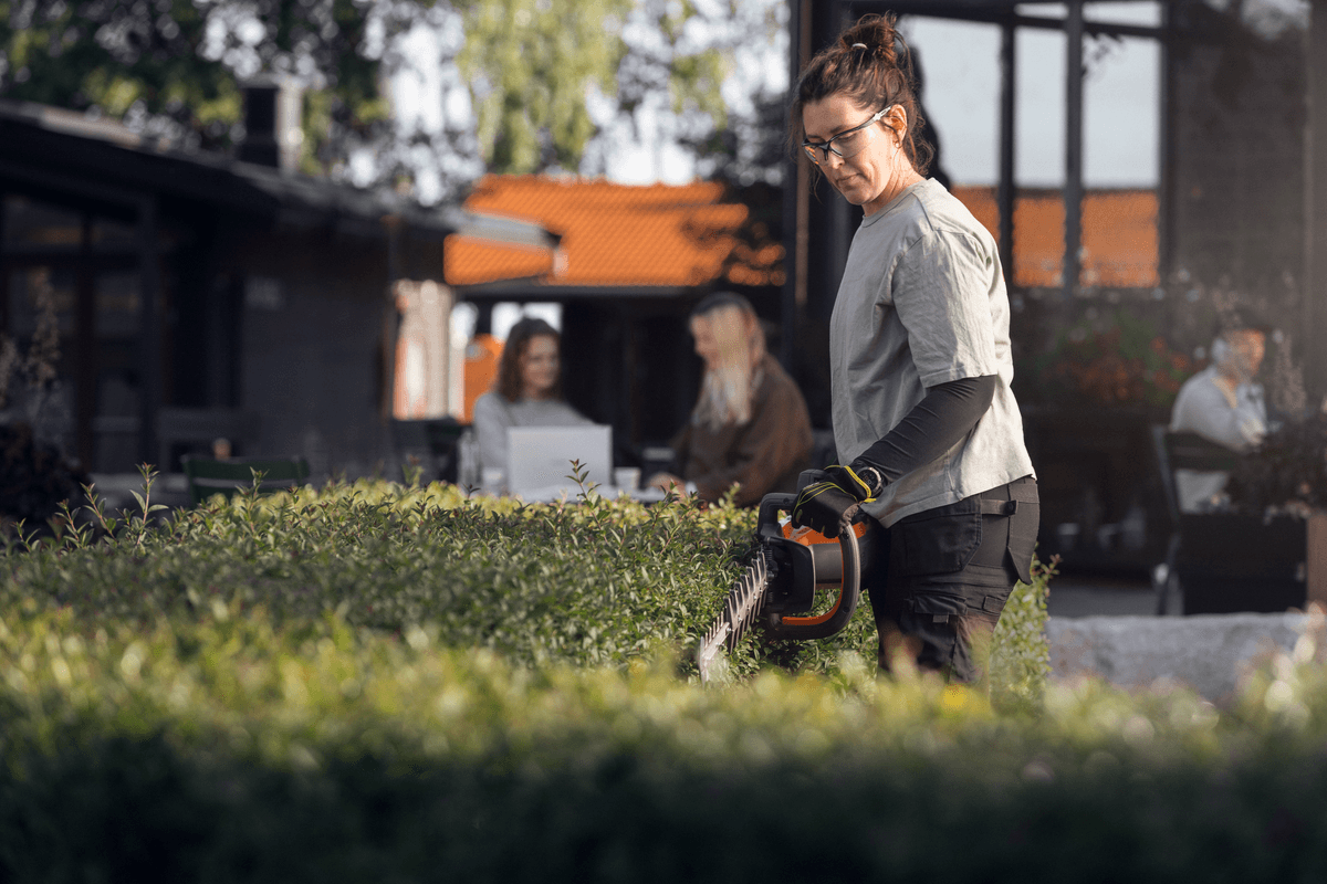 Ilustrační obrázek 2