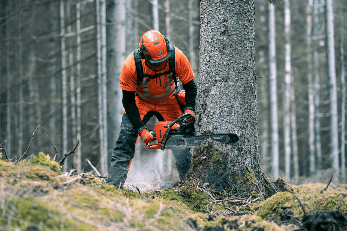 Husqvarna 572 XP®: Profesionální síla pro lesní práce