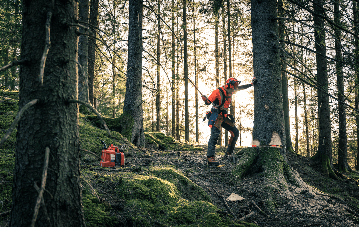 Ilustrační obrázek 2