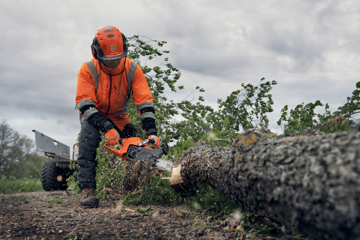 Ilustrační obrázek 2