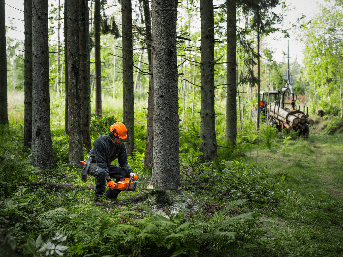 Husqvarna 450X: Váš Společník pro Každou Zahradu i Les