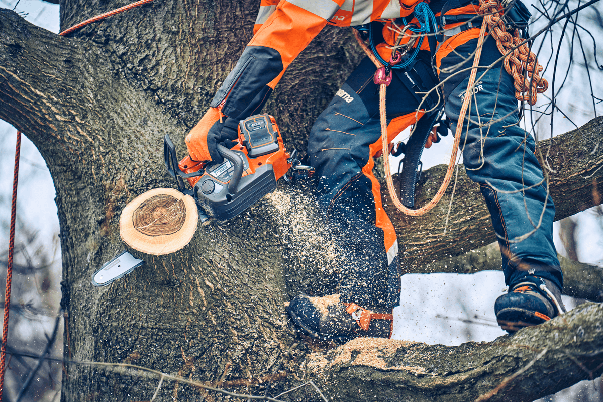 Ilustrační obrázek 2