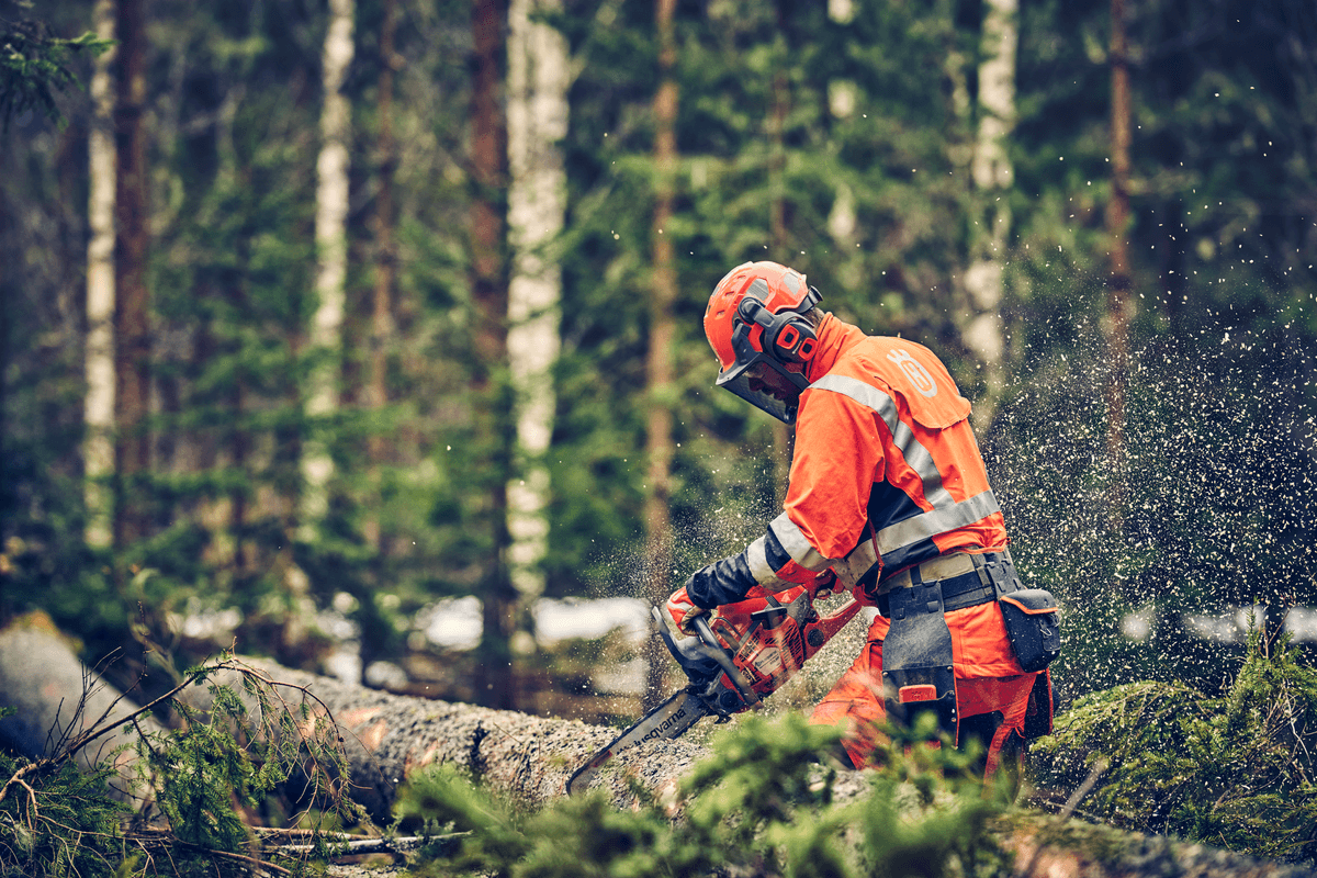 Ilustrační obrázek 4