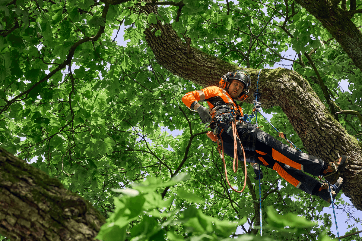 Maximální ochrana pro profesionální arboristy