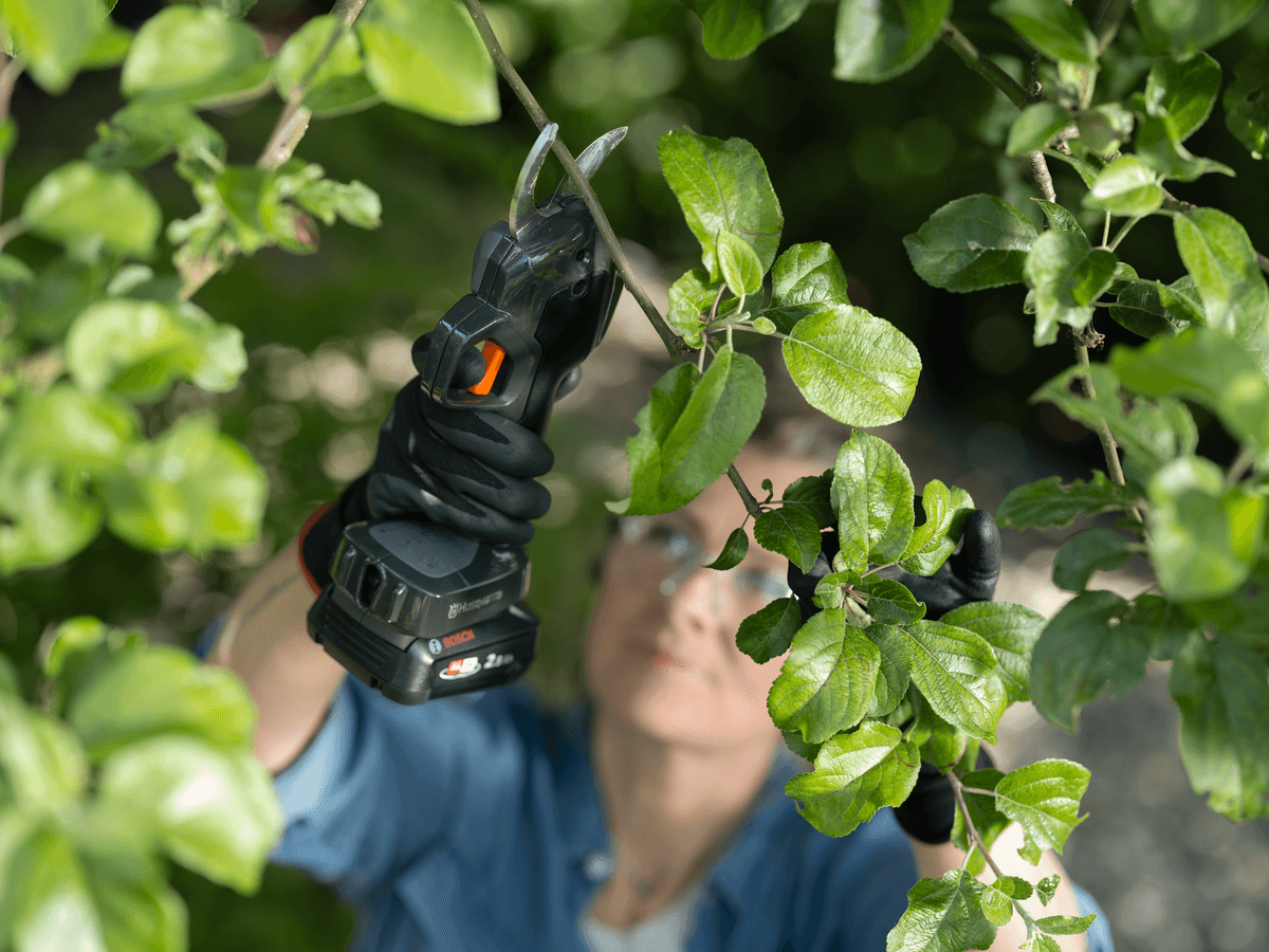 Intuitivní ovládání a přehlednost