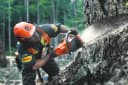 Pily na dřevo