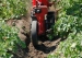 4880-1.webp