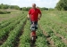4880-3.webp