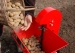 4889-3.webp
