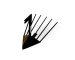 4896-1.webp