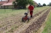 4896-3.webp