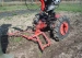 4898-2.webp