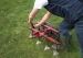 4901-2.webp