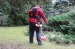 4923-1.webp