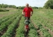 4941-1.webp
