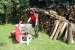 4990-2.webp