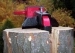 5026-3.webp