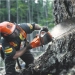 5b6acb22d6e34.webp