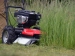 6247-3.webp