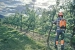 65a6752ce1ec3.webp