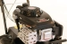 6453-3.webp