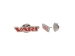 6677-1.webp