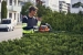 659c05ba3d381.webp