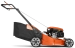 659fbc665d793.webp